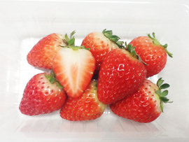 �e�N���A�O���[�v