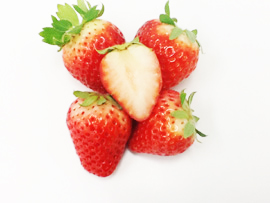 �e�N���A�O���[�v