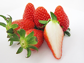 �e�N���A�O���[�v