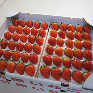 テクモアグループ