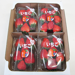 テクモアグループ